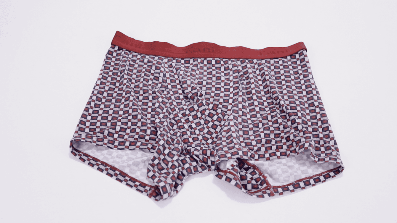 Tani SilkCut Boxer Briefs