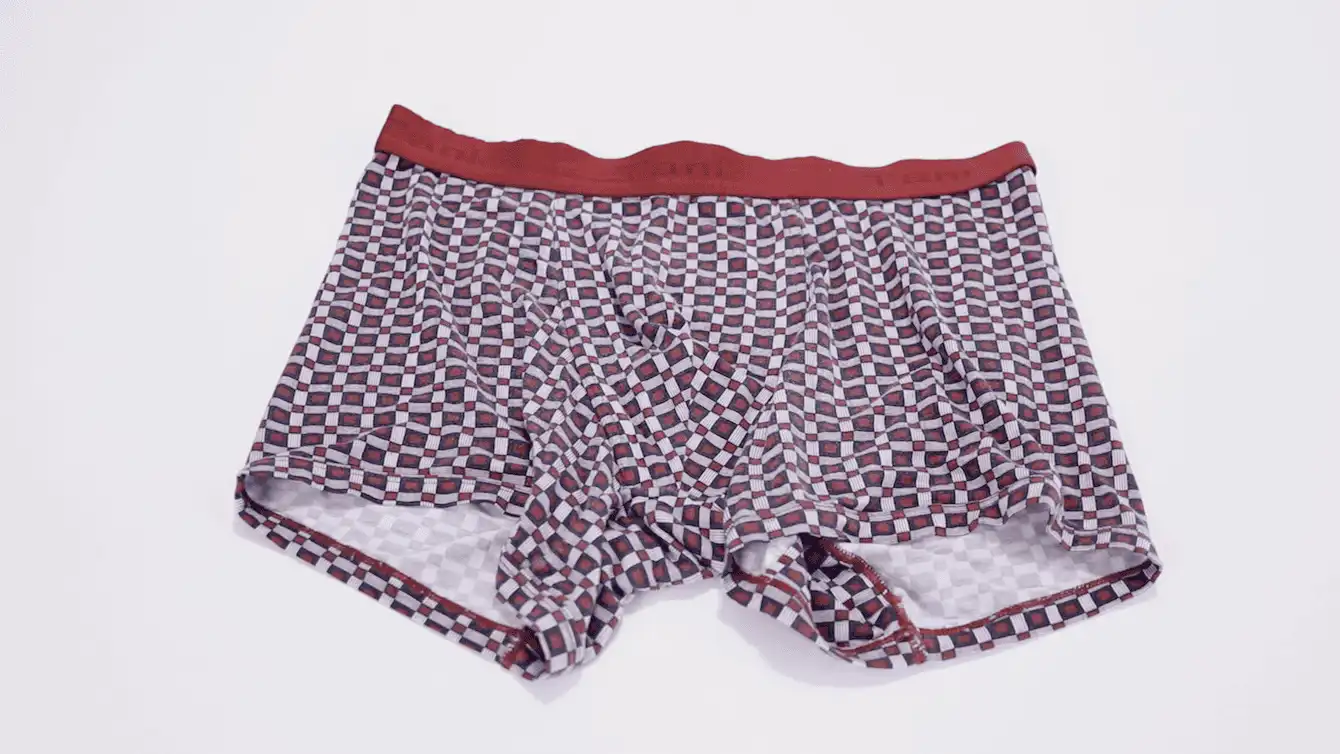 Tani Silkcut Boxer Briefs