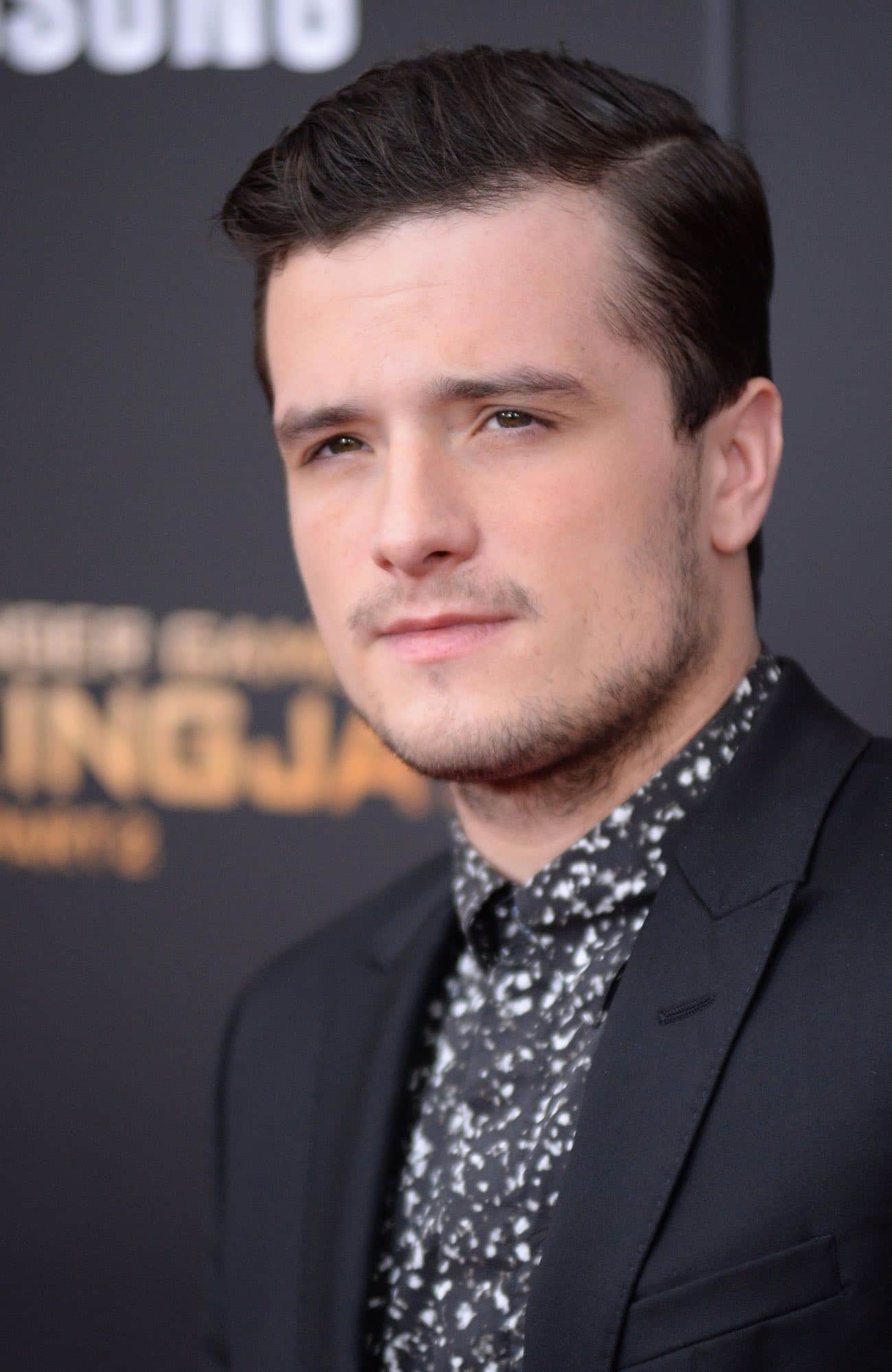 Josh Hutcherson