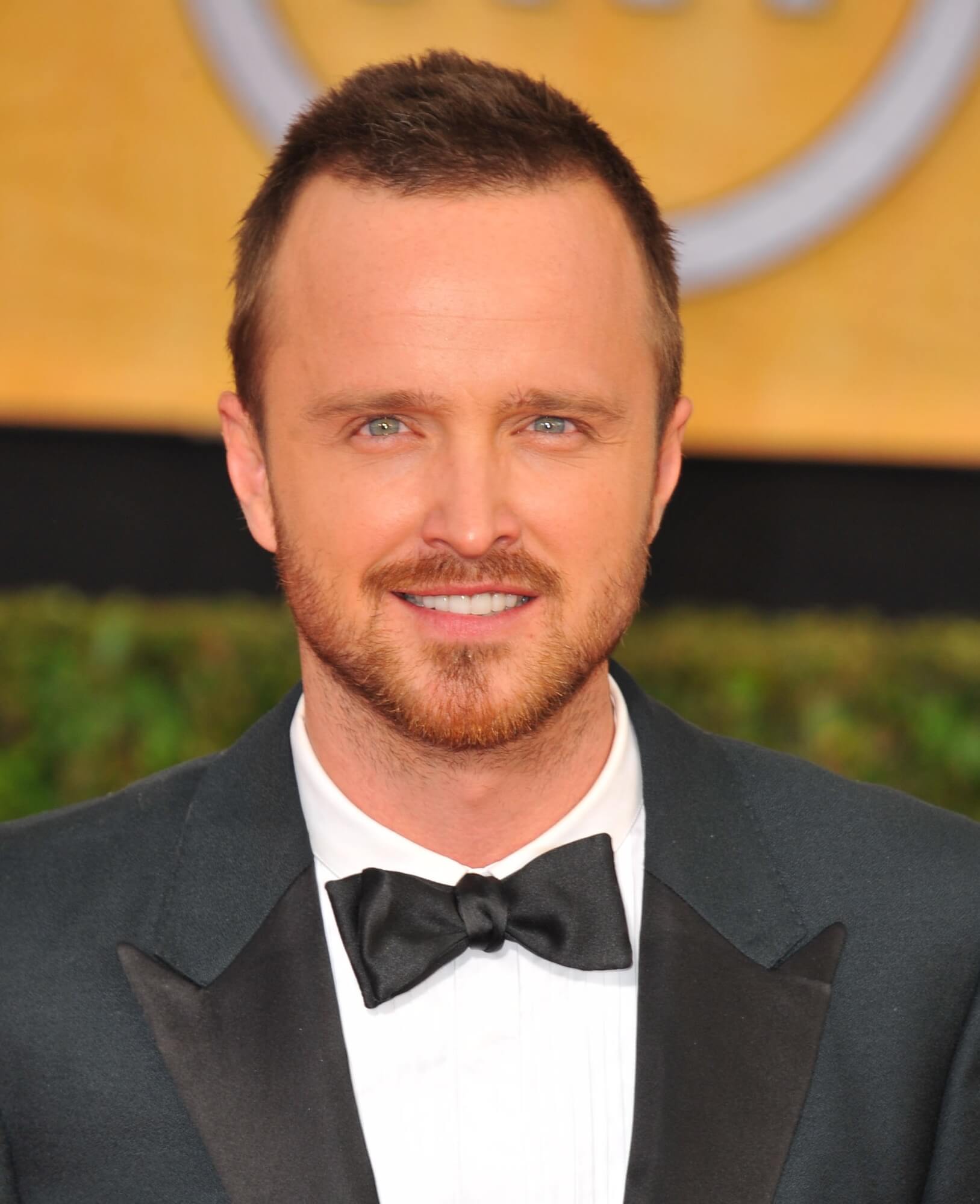 Who Is Aaron Paul