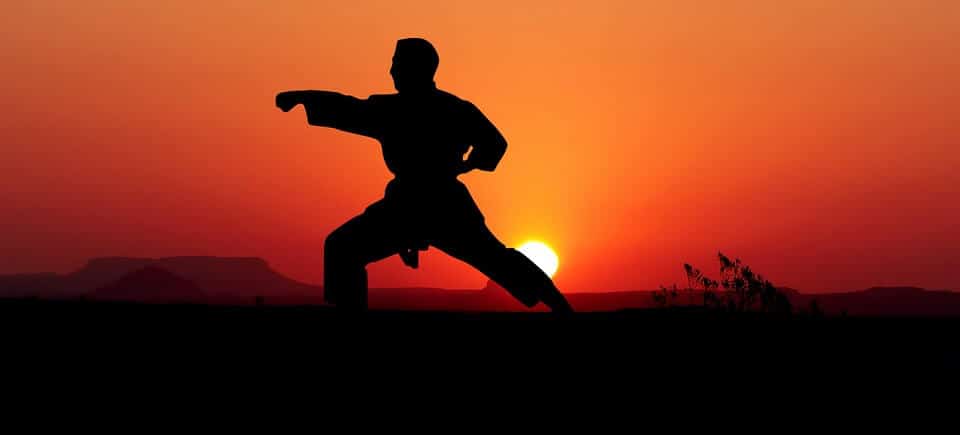 Martial artist practicing at sunset