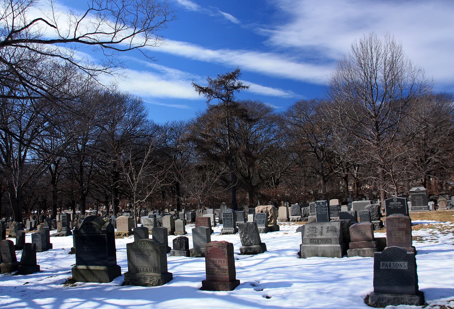 Forest Hill Cemetery