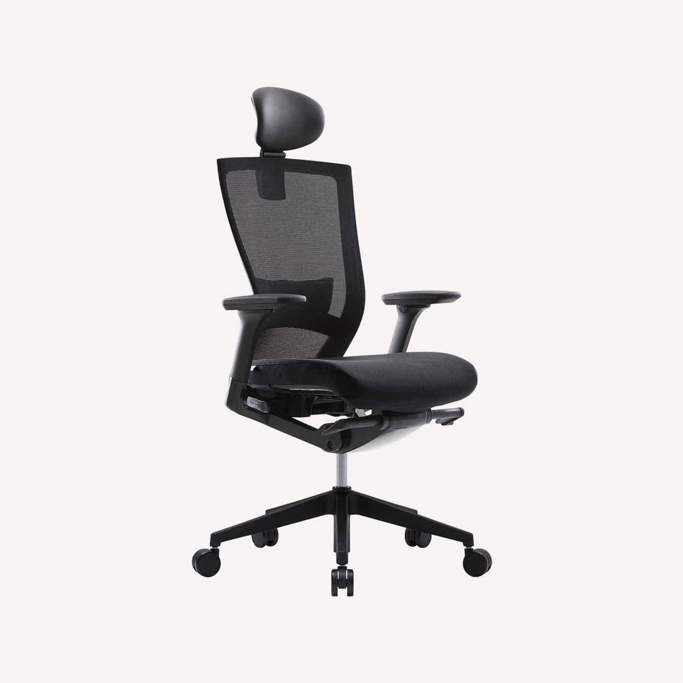 SIDIZ T50 Home Office Desk Chair Mesh Back