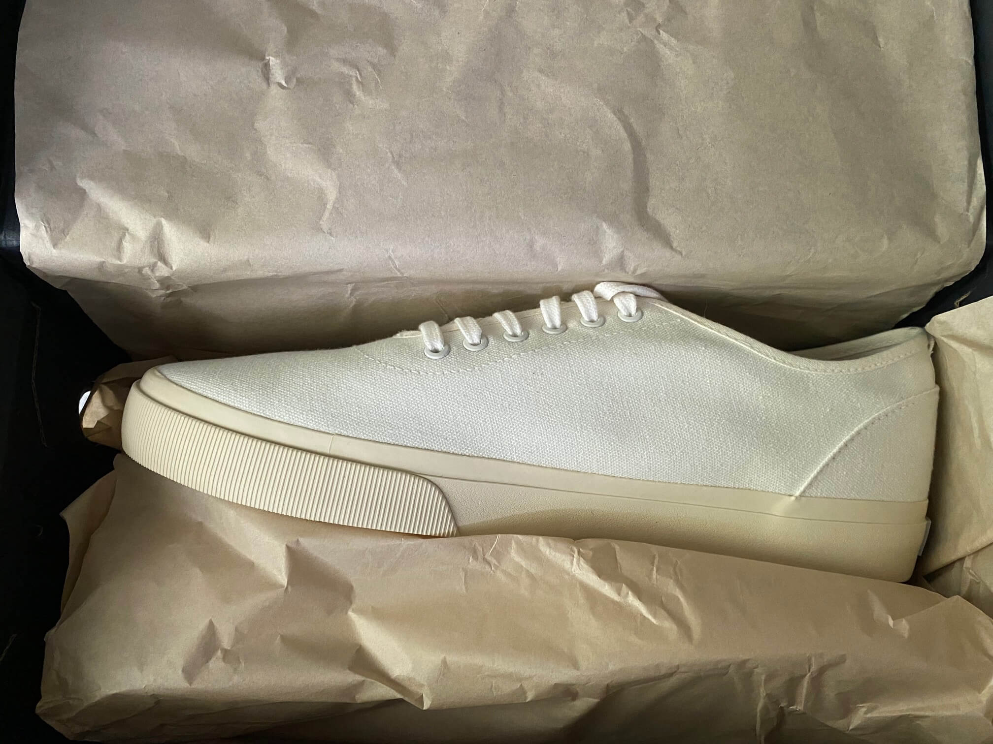 Everlane Forever Sneaker in box