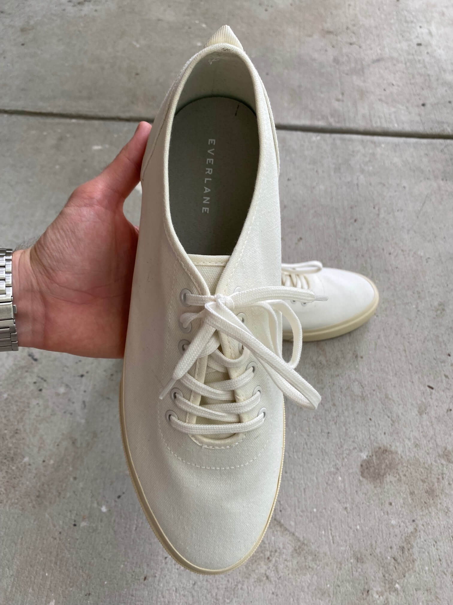 Everlane Forever Sneaker in hand