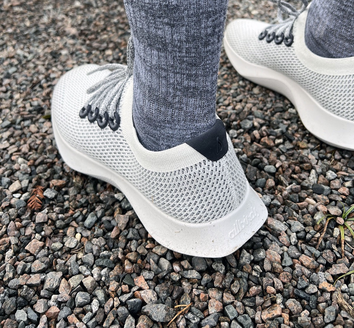 Allbirds tree dashers running shoes