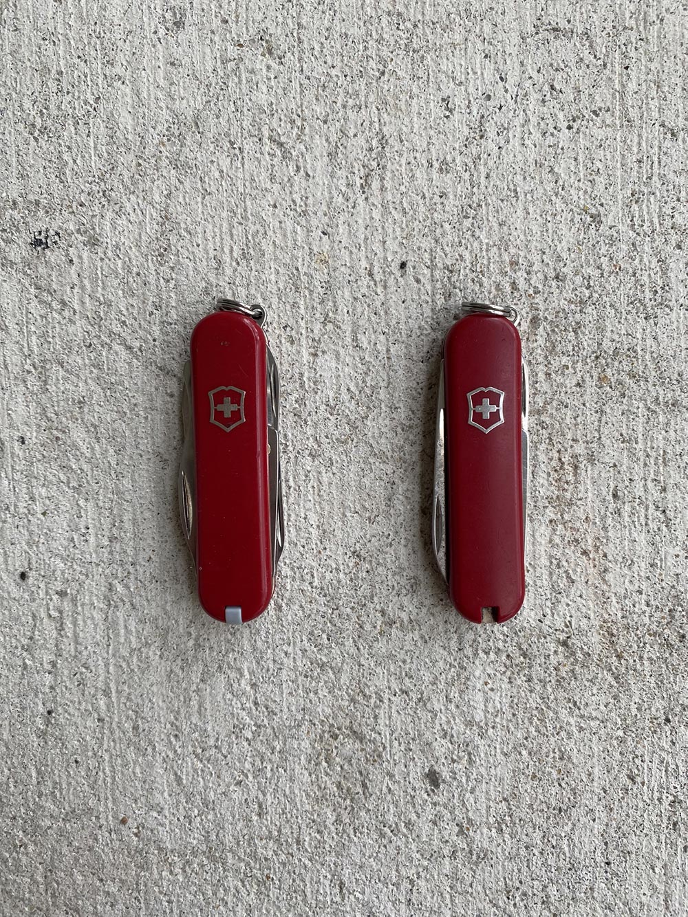 Victorinox Classic SD and Rambler