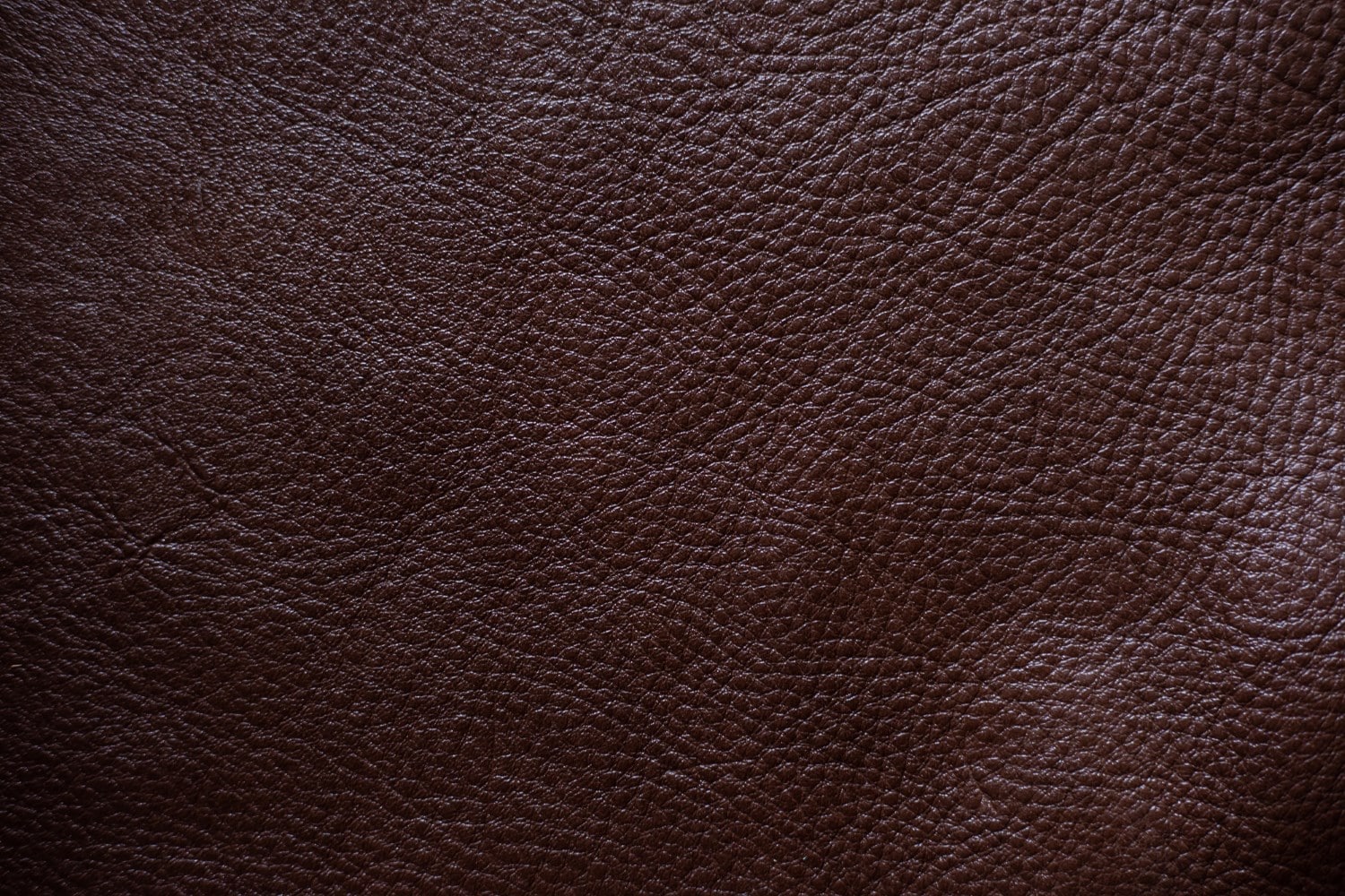 Full Grain Leather