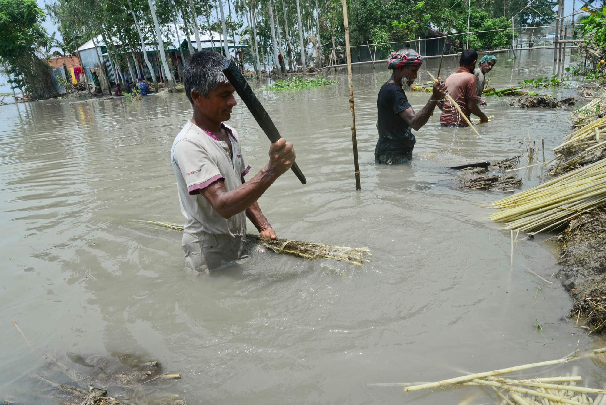 Washing Jute