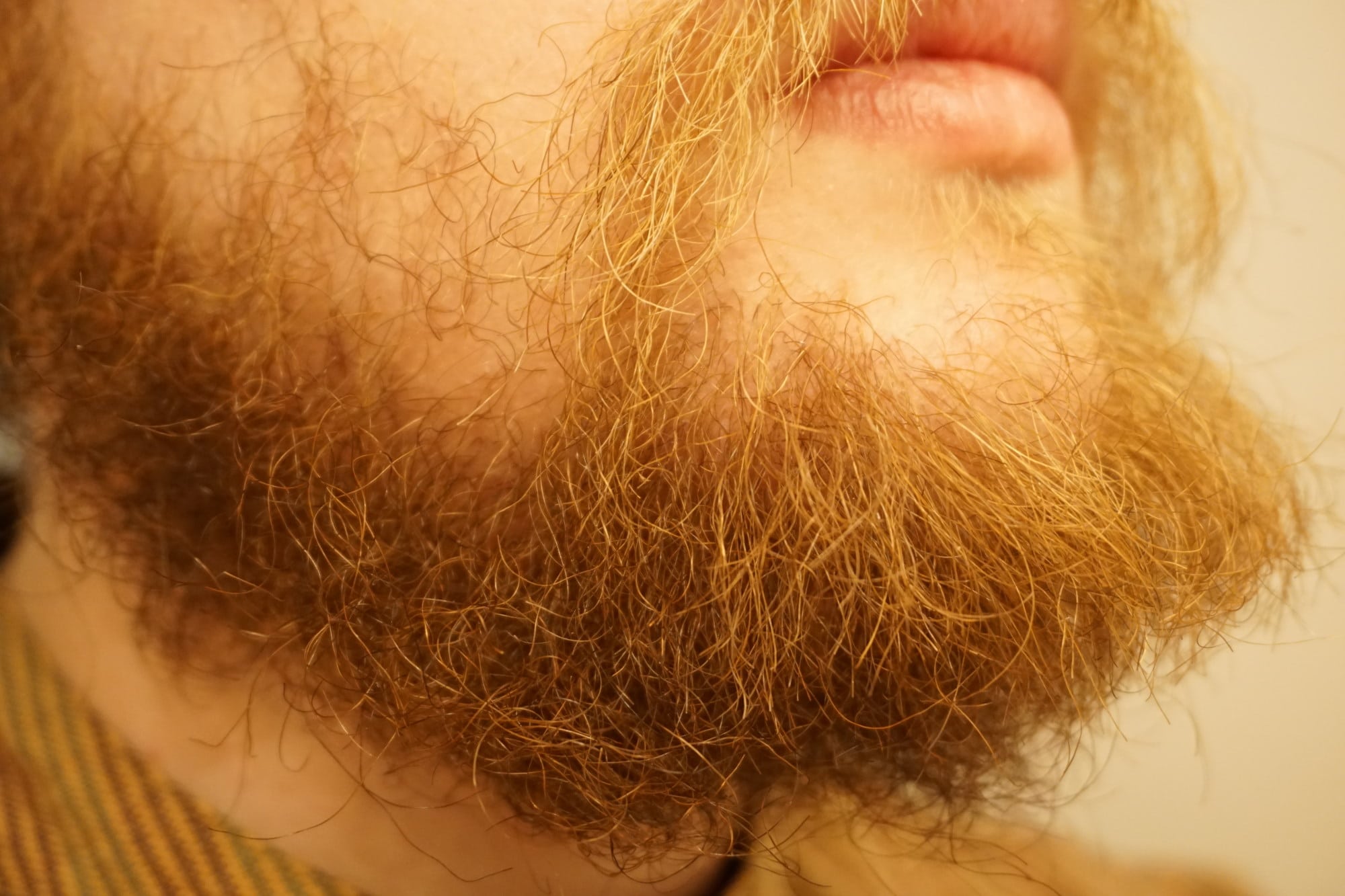 Before using Beardbrand