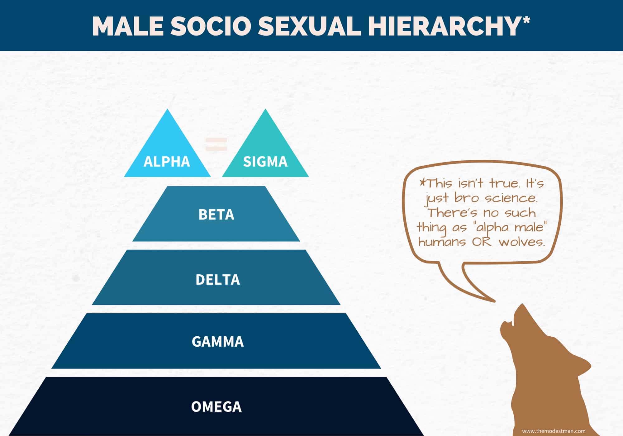 Male Socio Sexual Hierarchy