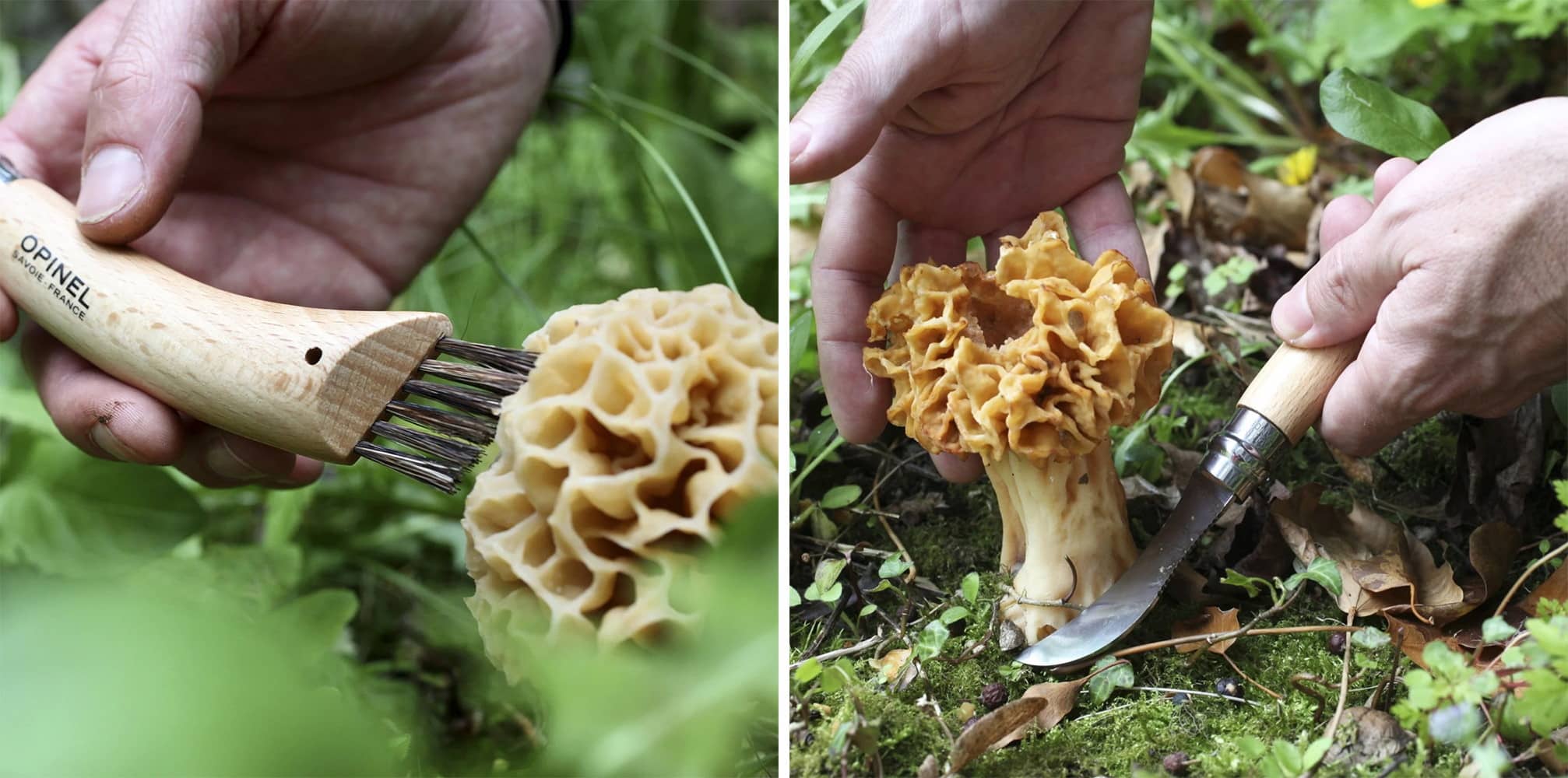 mushroom knife side by side