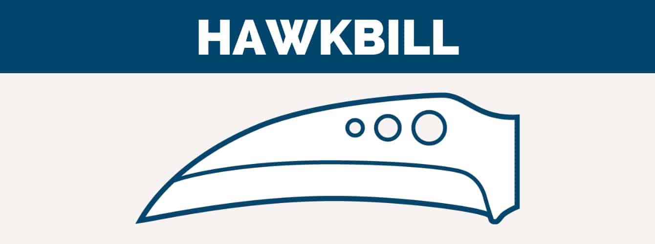 hawkbill