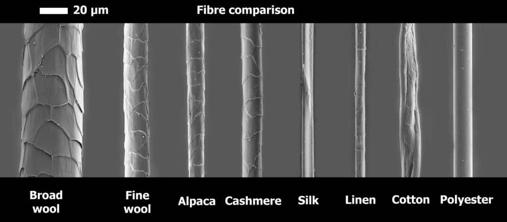 comparison